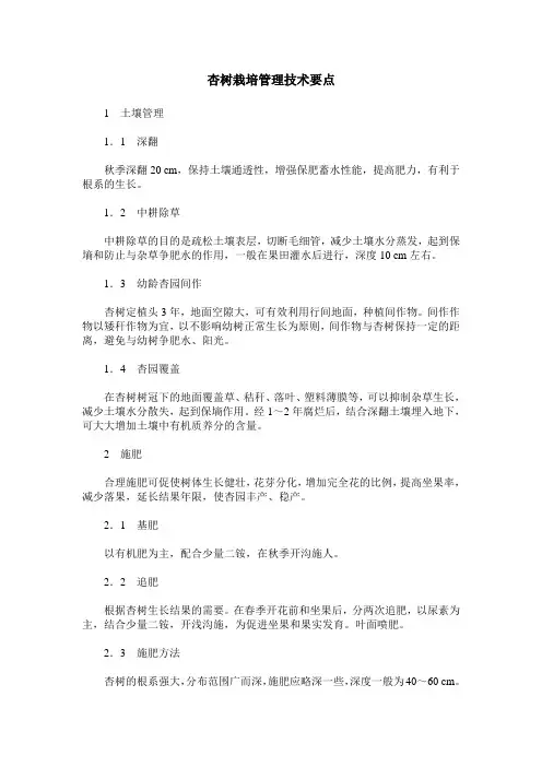 杏树栽培管理技术要点