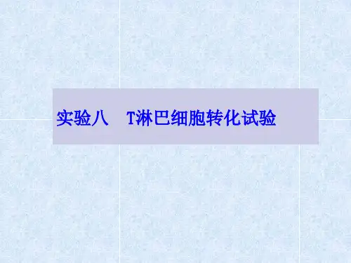 T淋巴细胞转化实验