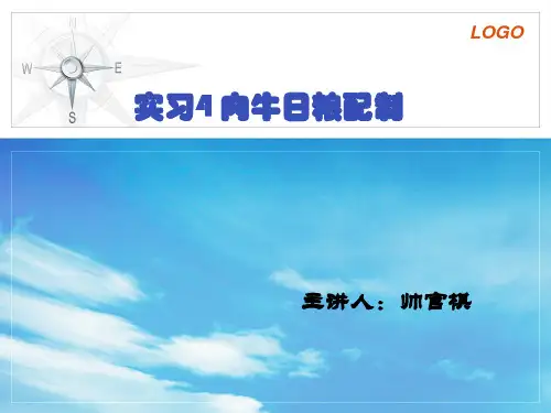 实习4.肉牛日粮配置