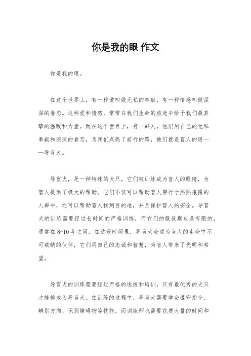 你是我的眼 作文
