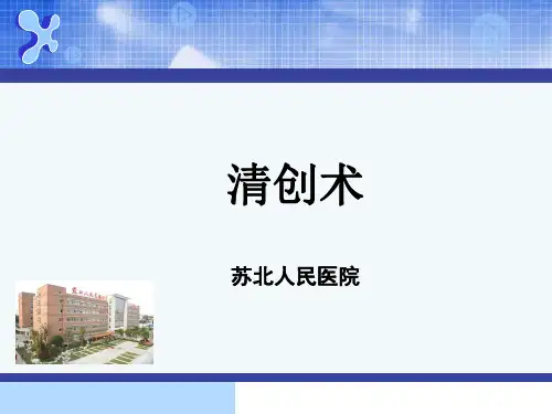 清创术(PPT课件)