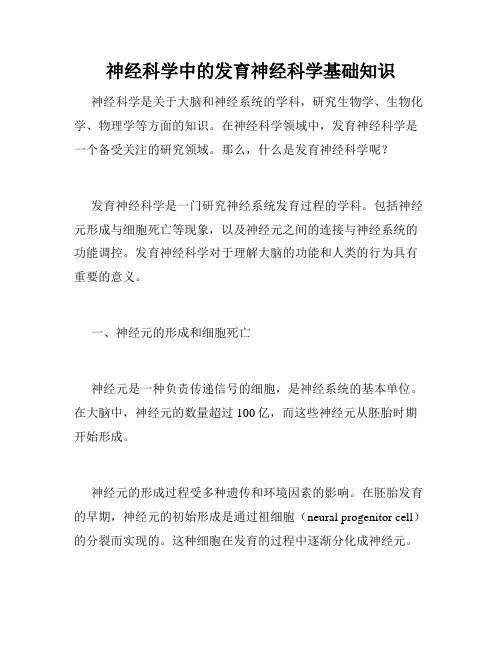 神经科学中的发育神经科学基础知识