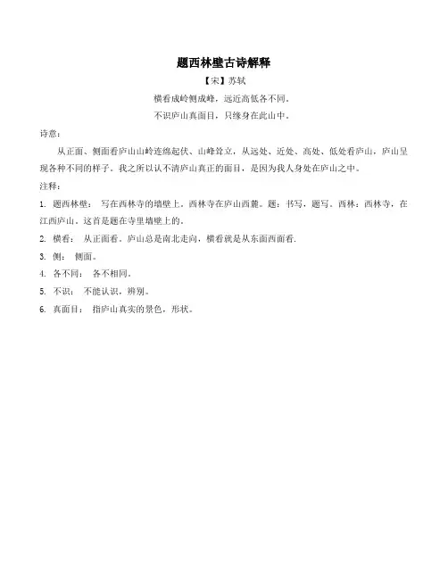 题西林壁古诗解释