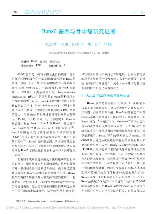 Runx2基因与骨肉瘤研究进展