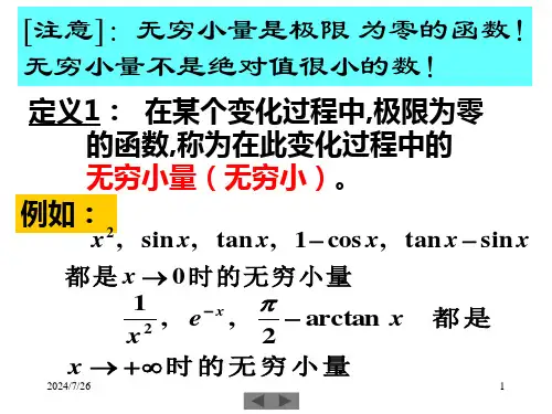 无穷小量函数的连续性优质课件
