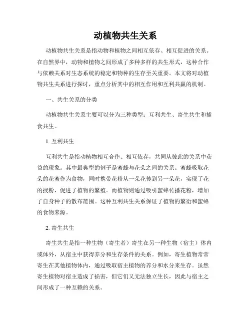 动植物共生关系