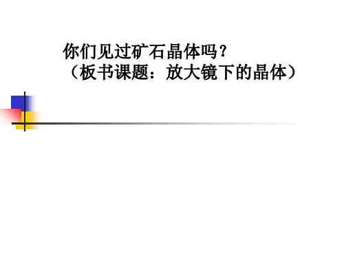 科学课件《放大镜下的晶体》精品PPT课件24