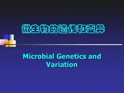 上海交通大学-环境微生物-微生物的基因重组