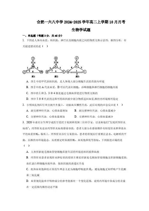 安徽省合肥市合肥经济技术开发区合肥一六八中学2024-2025学年高二上学期10月月考生物学试题