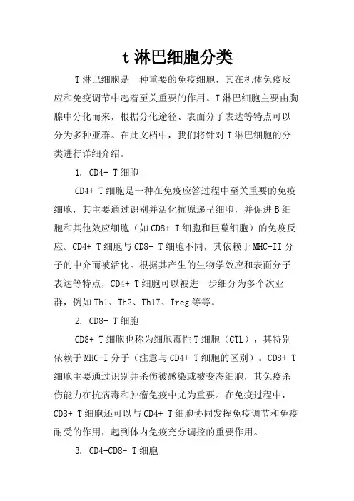 t淋巴细胞分类
