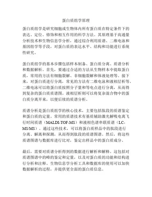 蛋白质组学原理
