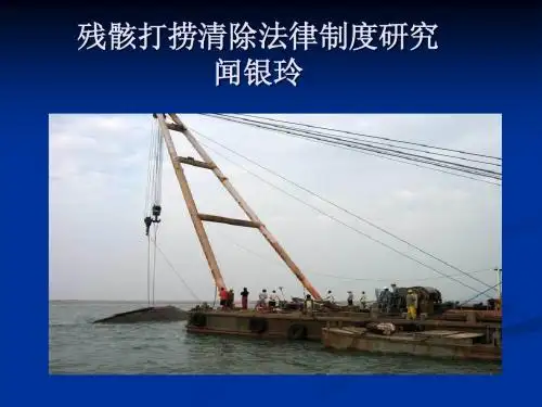 残骸打捞清除法律制度研究