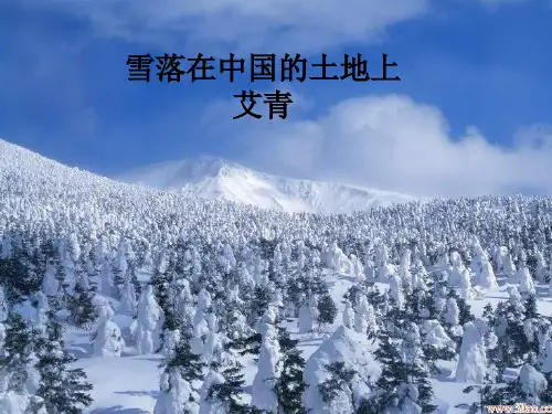 雪落在中国的土地上课件1