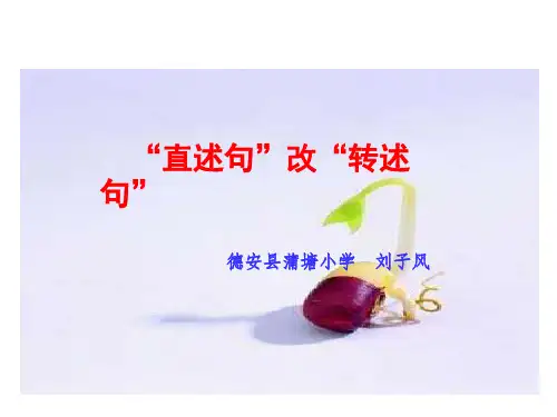 直述句改转述句课件