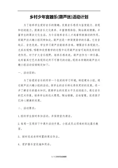 乡村少年宫器乐(葫芦丝)活动计划