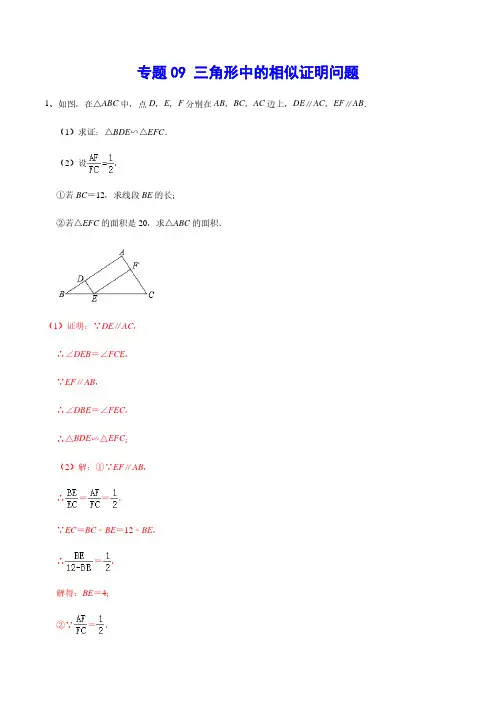 专题09 三角形中的相似证明问题(解析版)