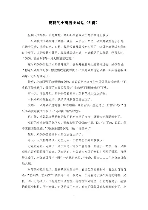 离群的小鸡看图写话(5篇)
