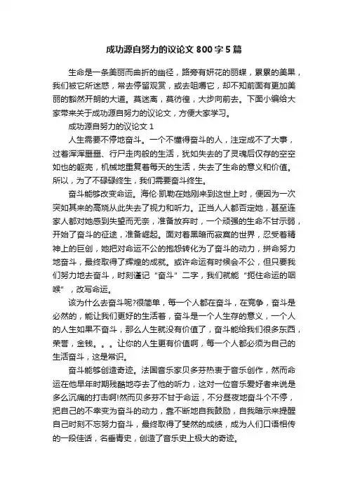 成功源自努力的议论文800字5篇