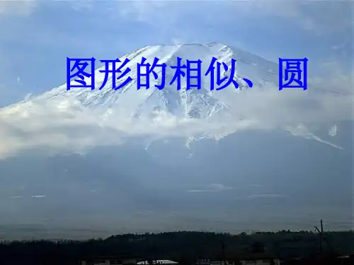 图形的相似、圆的复习优质课件PPT