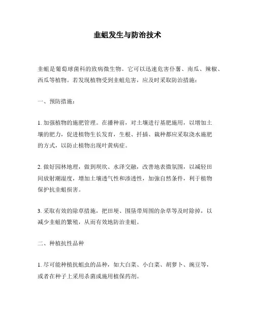 韭蛆发生与防治技术