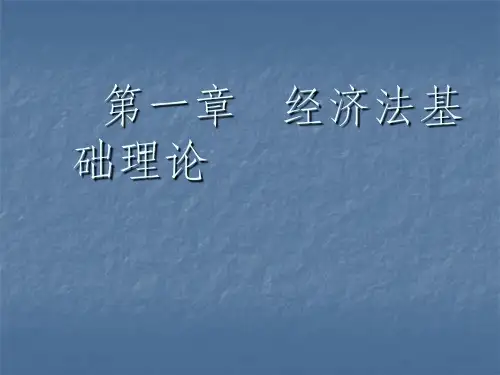经济法基础理论