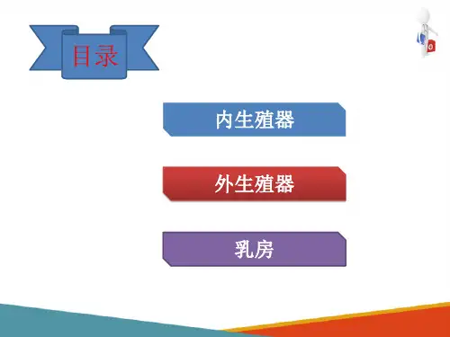 生殖系统影像解剖—女性生殖系统(医学影像解剖学课件)