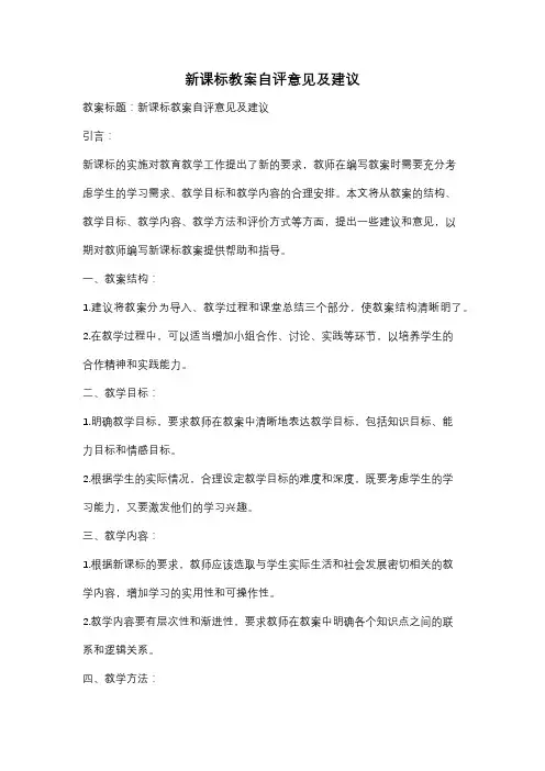 新课标教案自评意见及建议
