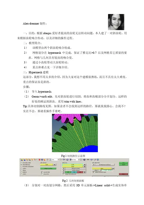 斜齿轮网格划分