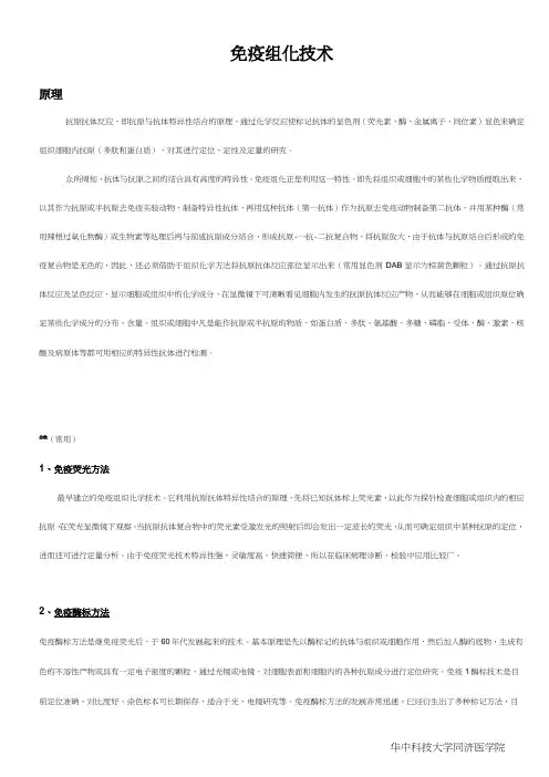 免疫组化技术(原理分类步骤及主要试剂设备准备
