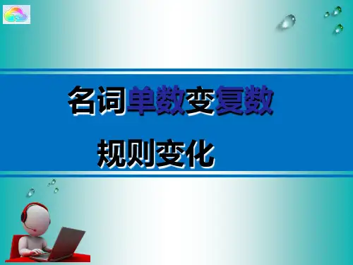 小学英语三年级简单基础语法名词单数变复数规则