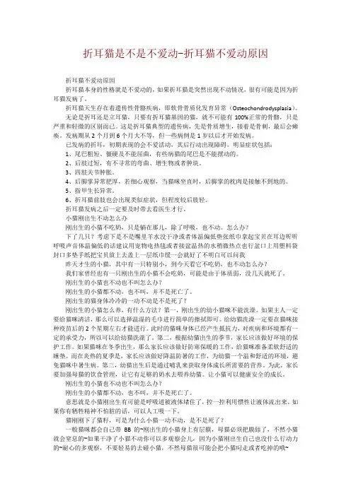 折耳猫是不是不爱动-折耳猫不爱动原因