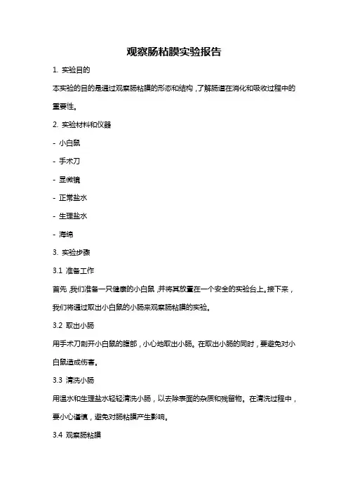 观察肠粘膜实验报告