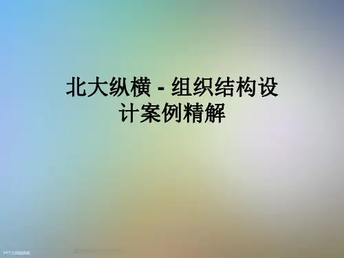北大纵横 - 组织结构设计案例精解