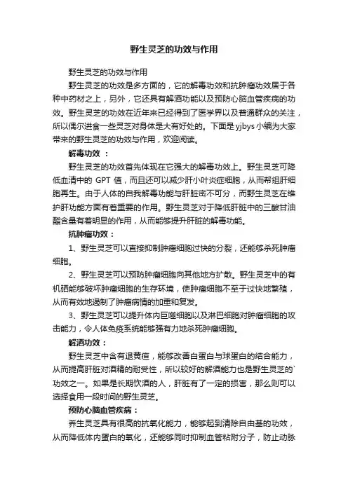 野生灵芝的功效与作用