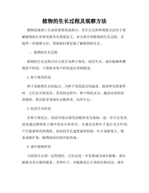 植物的生长过程及观察方法
