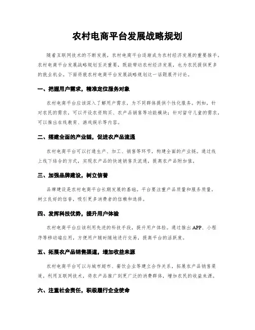 农村电商平台发展战略规划