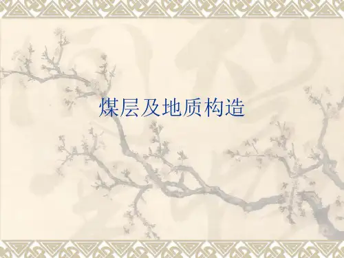 煤层及地质构造-精选文档