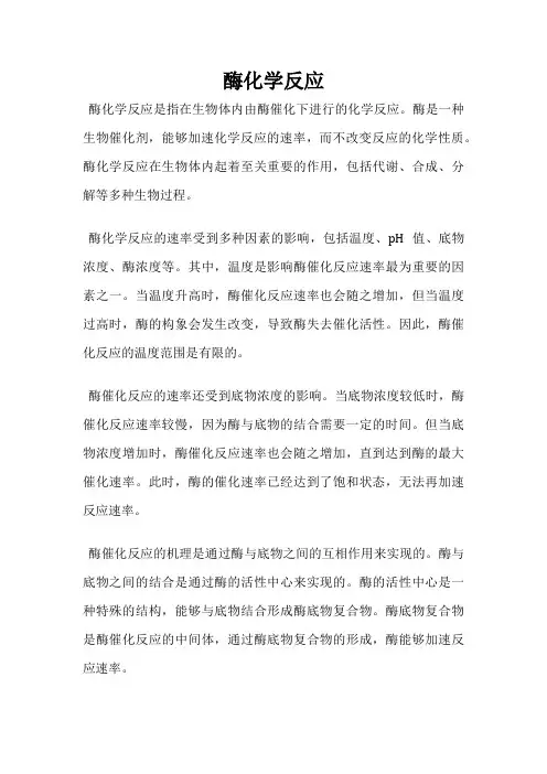 酶化学反应