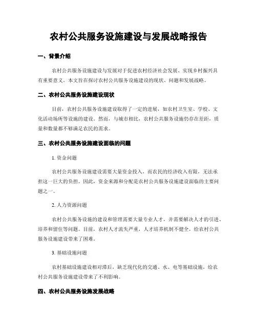 农村公共服务设施建设与发展战略报告