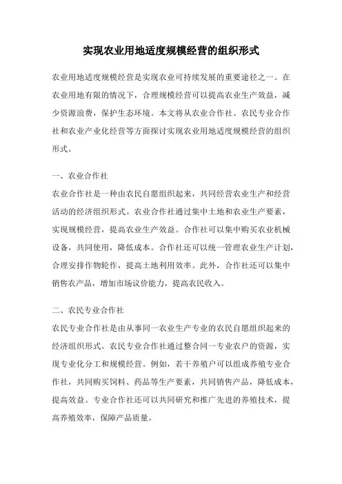 实现农业用地适度规模经营的组织形式