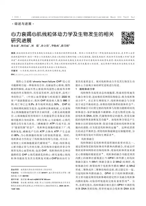 心力衰竭心肌线粒体动力学及生物发生的相关研究进展