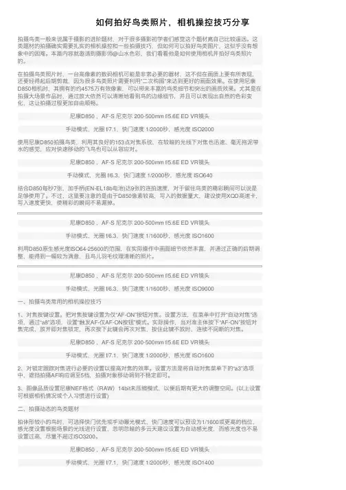 如何拍好鸟类照片，相机操控技巧分享