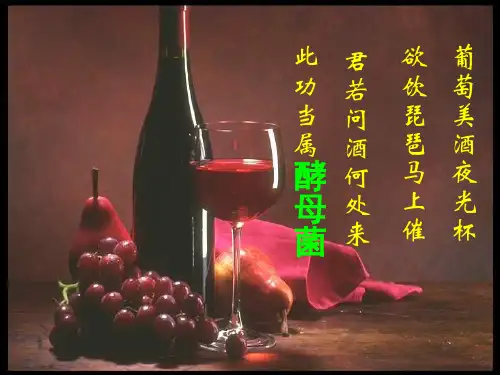 果酒和果醋的制作
