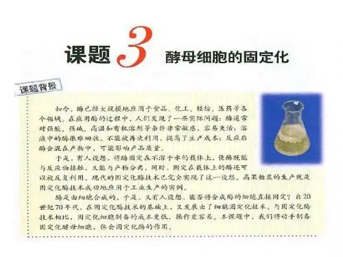 (2019版)高二生物酵母细胞的固定化