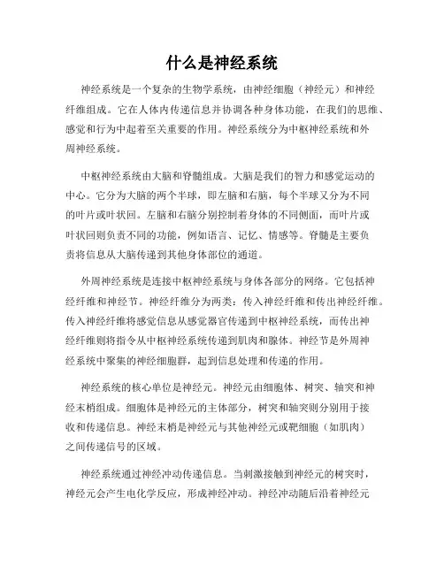 什么是神经系统