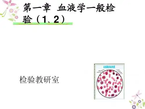 临床检验基础_血液学一般检验