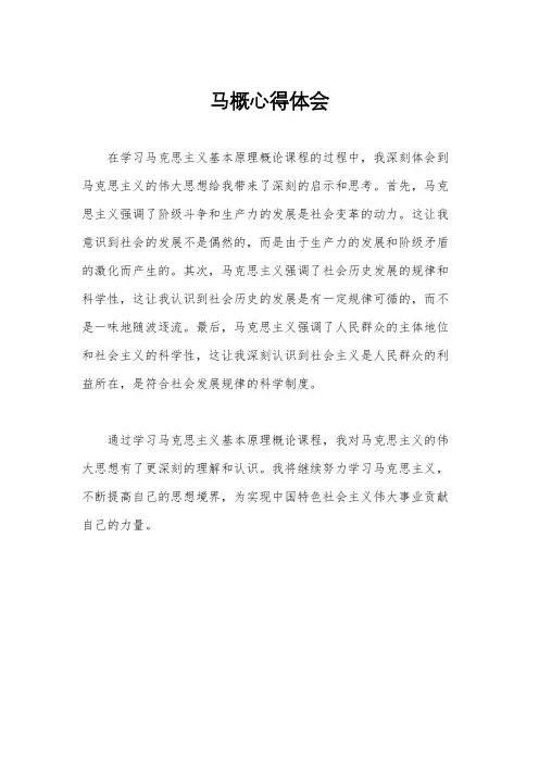 马概心得体会