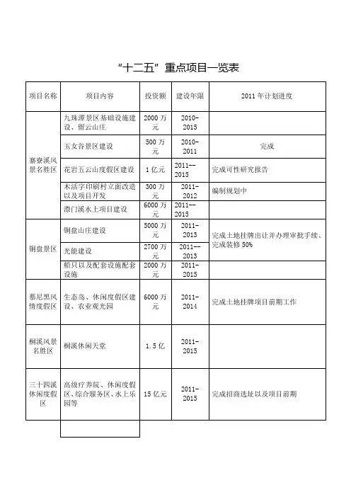 十二五重点项目一览表【模板】