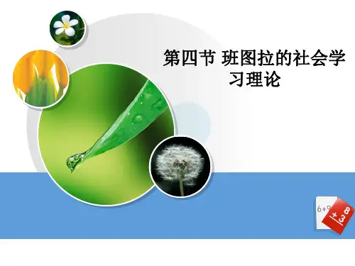 班图拉的社会学习理论