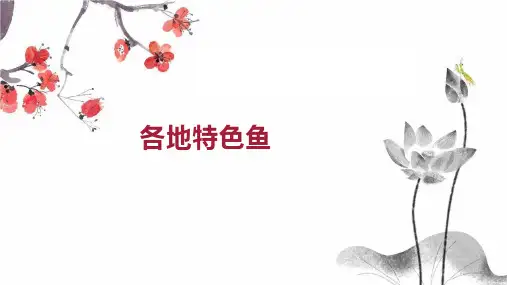 各地特色鱼 